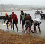 Volunteers Activities