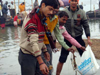 Volunteers Activities